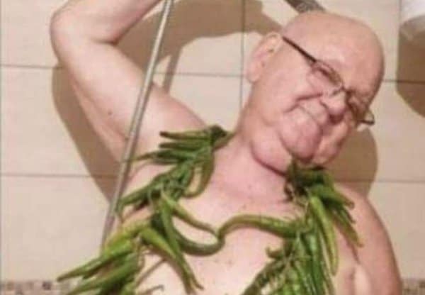 Jedan od, kako kažu “najumnijih živućih Bošnjaka”