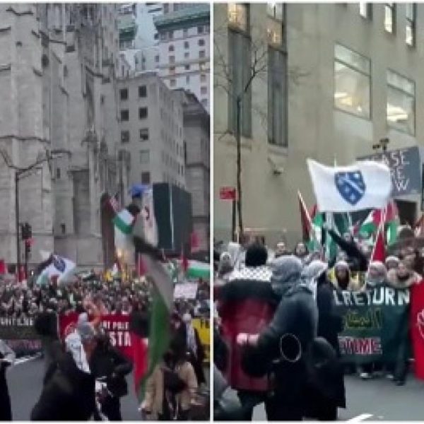 (VIDEO) Ljiljani u prvom redu na demonstracijama u New Yorku