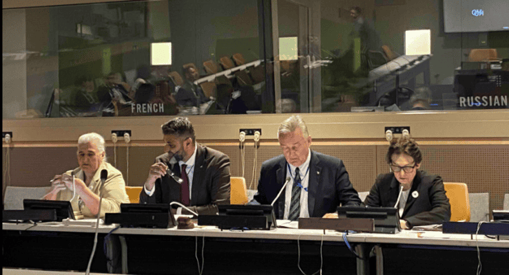 Subašić u UN-u: Rezolucija je potrebna i nama i Srbiji
