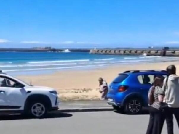 Morski pas usmrtio ženu na plaži pred drugim kupačima