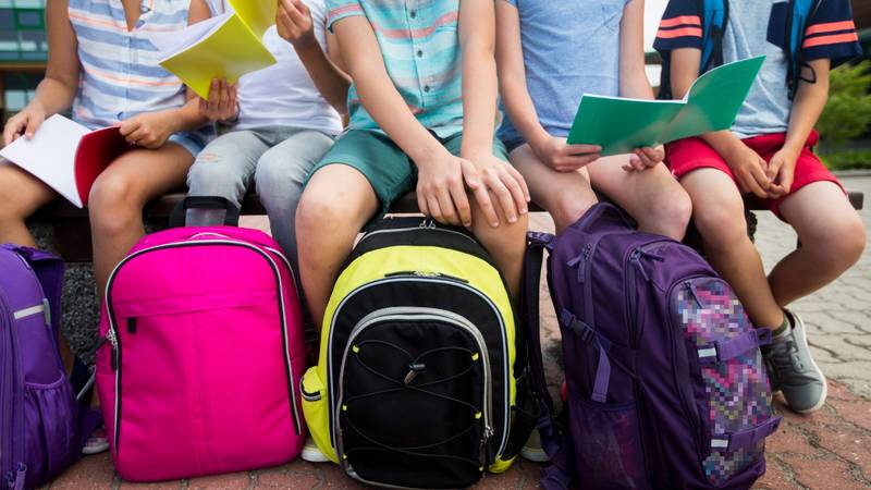 Hrvatska u 13 godina izgubila oko 3.760 razreda: broj učenika i škola i dalje pada